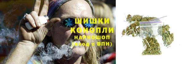 мдпв Бугульма