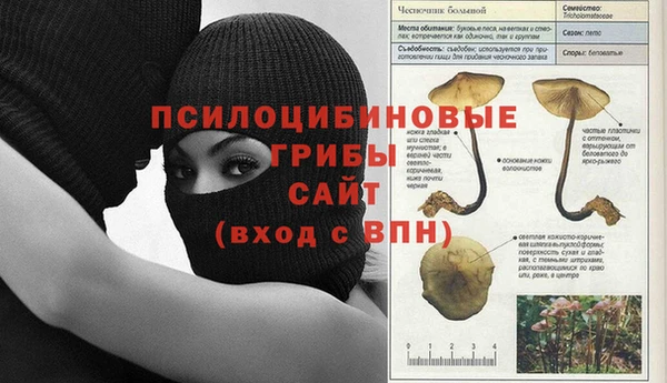 Альфа ПВП Бронницы