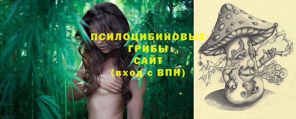 мдпв Бугульма