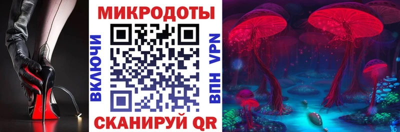 Псилоцибиновые грибы Psilocybe  блэк спрут вход  Кинешма  купить  цена 